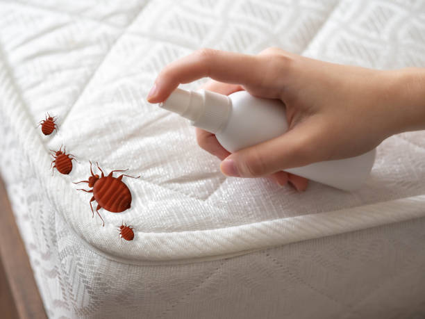 Real Estate Pest Inspections in Hampshire, IL